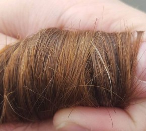Split Ends: Types, Causes and Effective Ways of Treatment